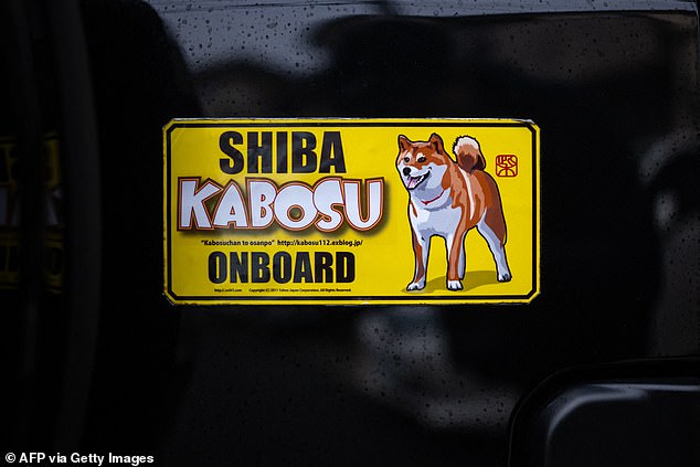 Sato even had her own number plate made for her beloved dog